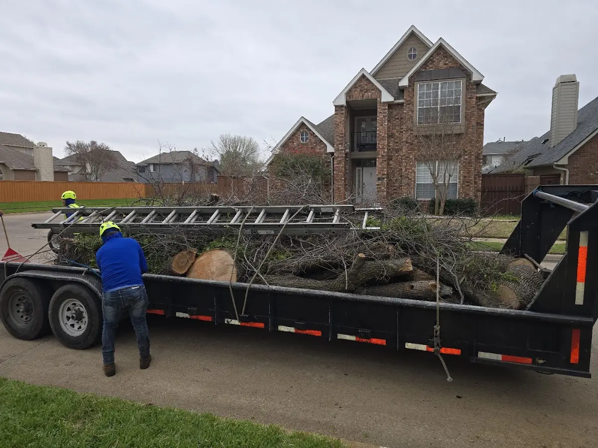 Expert Tree Fertilization with proper safety equipment in Milton